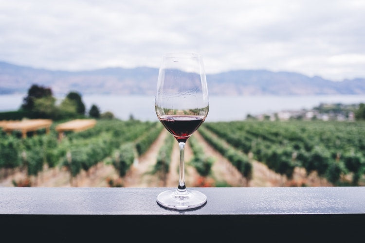 Wine Travel Tips in 2019